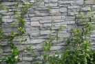 Cotton Treegreen-walls-4.jpg; ?>