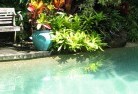Cotton Treeswimming-pool-landscaping-3.jpg; ?>